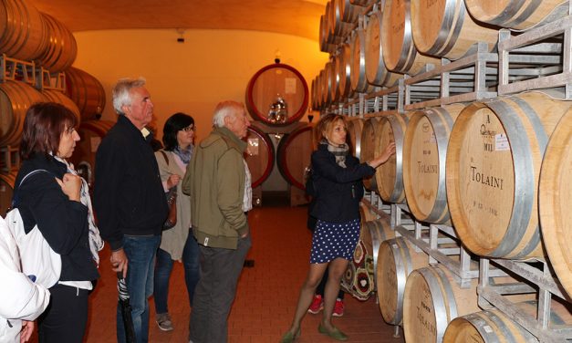 Educational Corporate Incentive Tailor Made Wine Tours