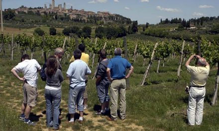standardní vinařské zájezdy – wine tour a turistika
