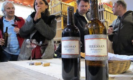 vinařské zájezdy – wine tour zaměřené na biologická a biodynamická vína