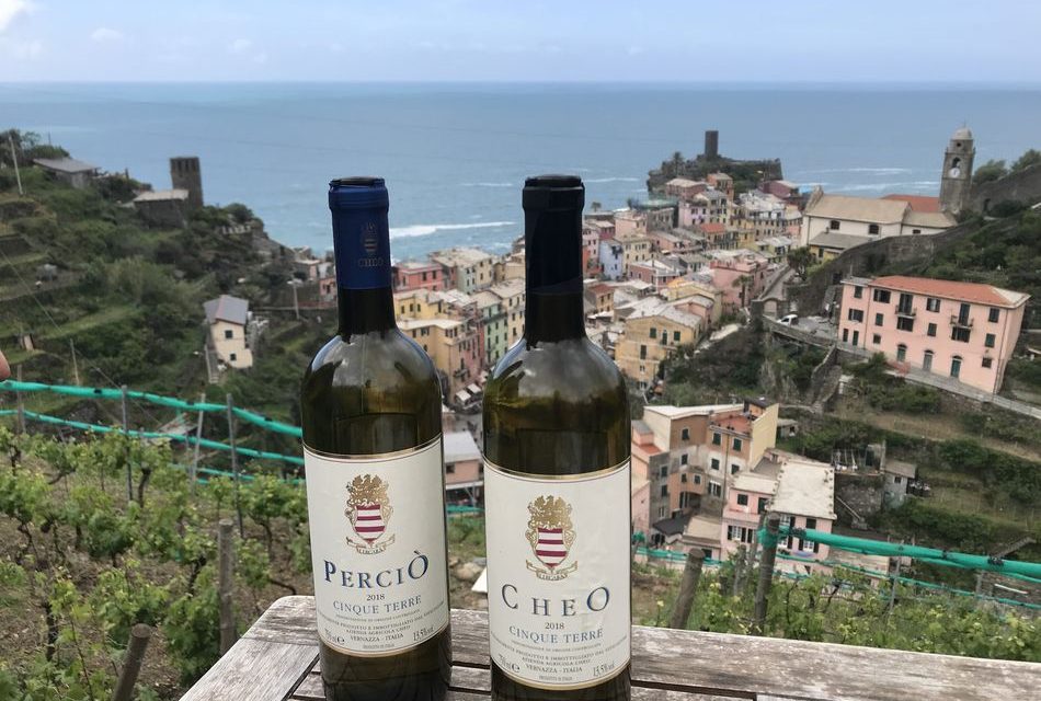 Květen 2019, vinařský zájezd na Lucca a 5Terre