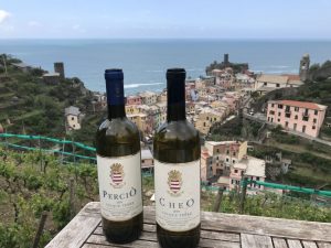 May 2019,The DiVine Wine Tour in Tuscany on the hills of Lucca and 5Terre